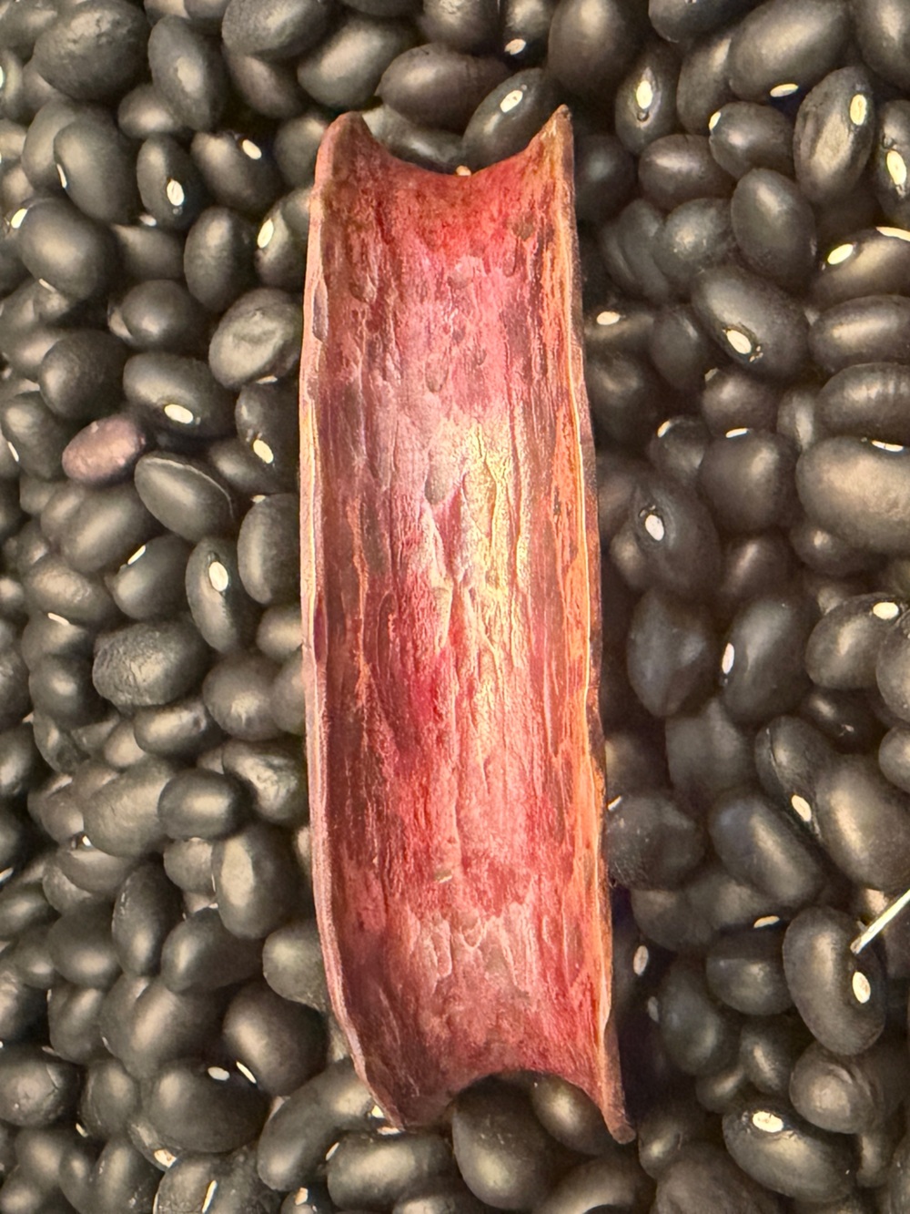 Handmade hammered Copper Cuff Bracelet